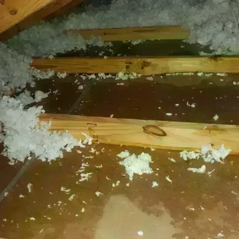 Attic Water Damage in Scotts Bluff County, NE